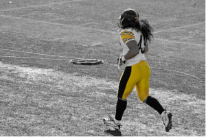 Troy Polamalu